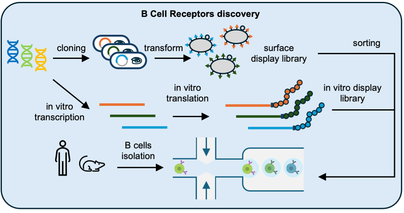 High-Throughput Methods Overview