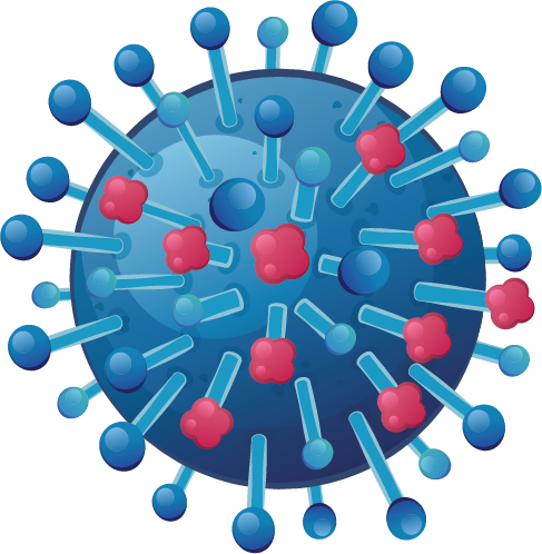 Rhinovirus